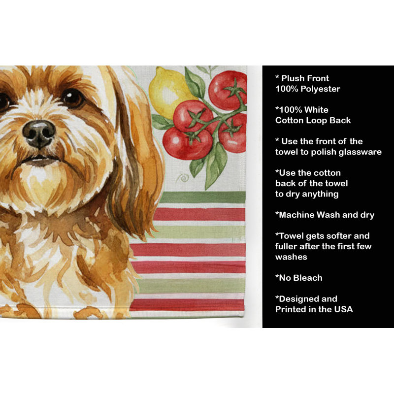 Torchon doré Lhasa Apso, Or Lhassa Apso