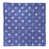 Blue/Light Purple