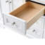 Haisley 54" W Double Vanity