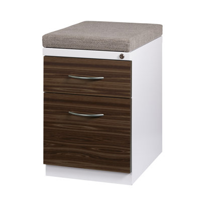 Hirsh 15'' Wide 2 -Drawer Mobile File Cabinet