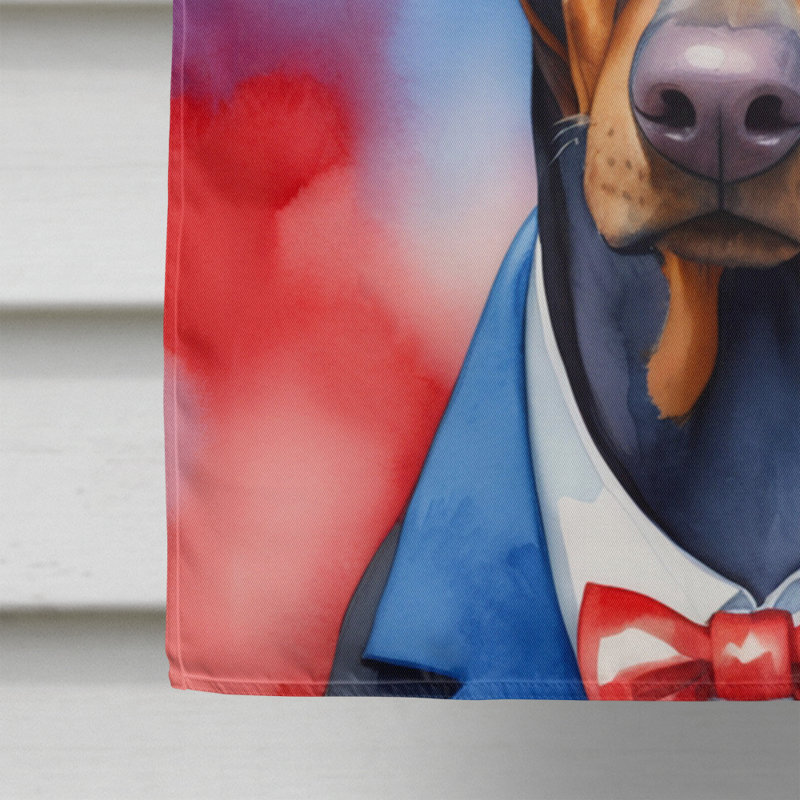 Drapeau patriotique de la maison américaine, Doberman pinscher noir / blanc