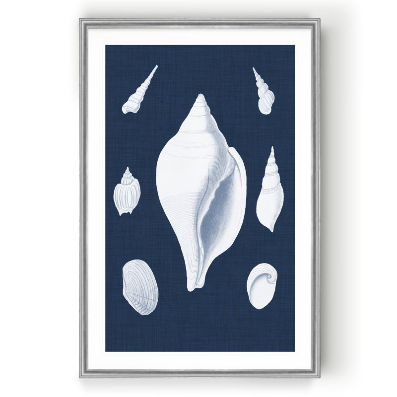 « coquillages blancs ii », impression sur toile, H 30,5 po x l 42,5 po x P 1,5 po, Argent