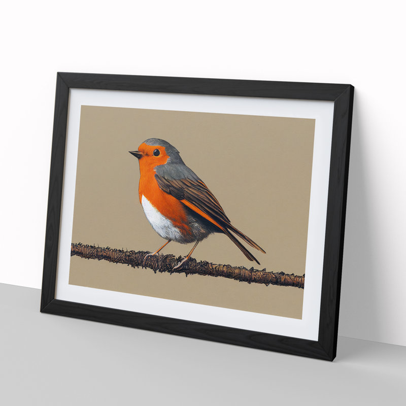 Tremendous Robin Bird - Framed Print, Black, 34cm H x 46cm W x 2cm D