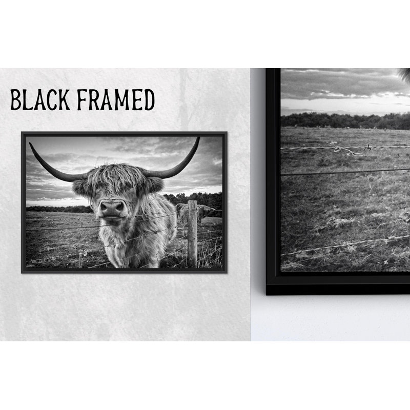 «Highland Cow», reproduction de photo de bovin écossais, affiche animalière, 59,1 po H x 82,7 po l