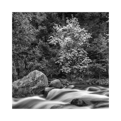 Usa, California, Yosemite, Happy Isles by John Ford - Wrapped Canvas Print