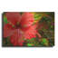«Red Hibiscus» par Don Spears