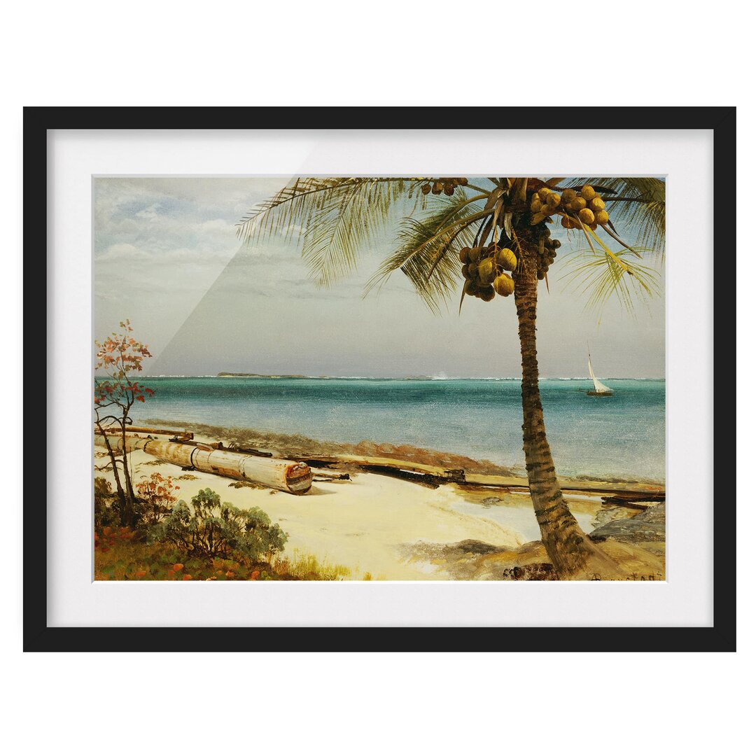 Gerahmtes Poster Tropical coast von Albert Bierstadt