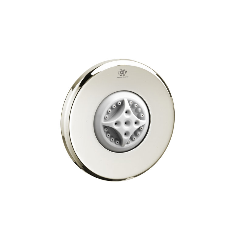DXV Transitional Multi Function Adjustable Shower Head, Platinum Nickel