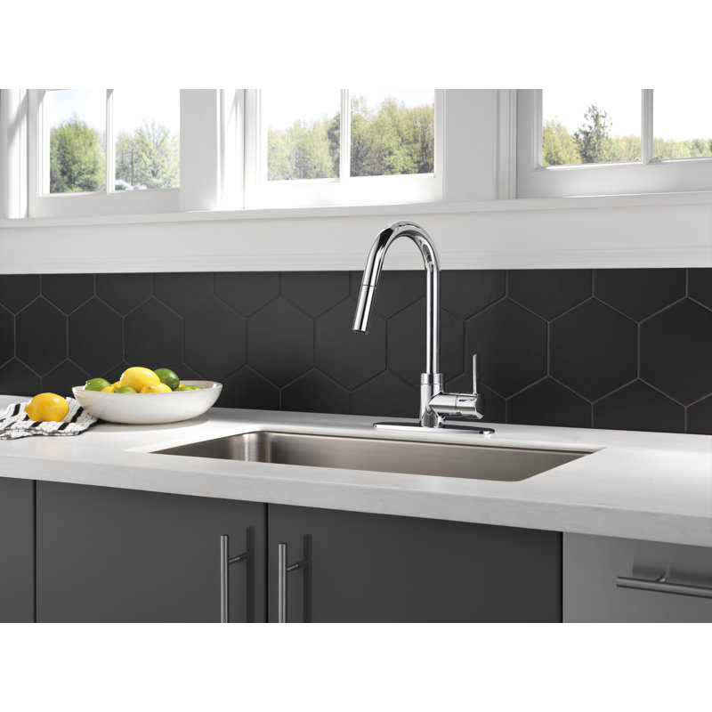 Robinet de cuisine à poignée simple avec accessoires Precept, Chrome