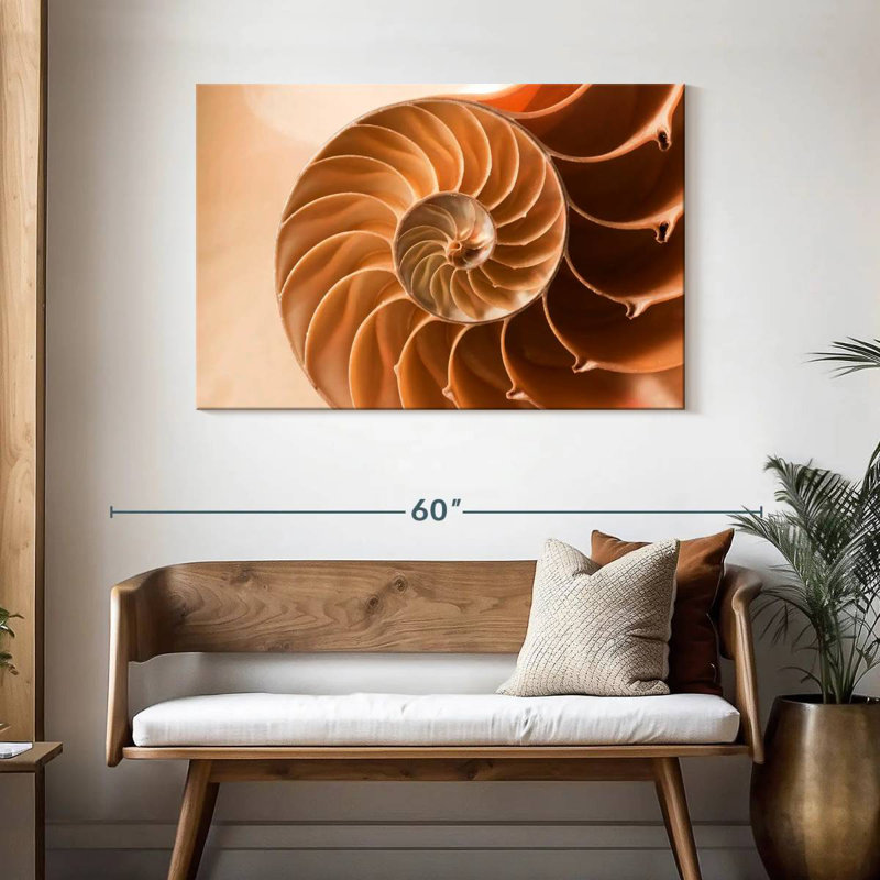Aletra Nautilus Shell Inside, 30" H x 45" W