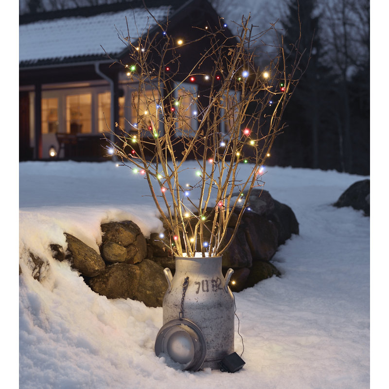 Indoor / Outdoor Lamp, Multi-coloured