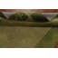 Tapis vert Gabbeh