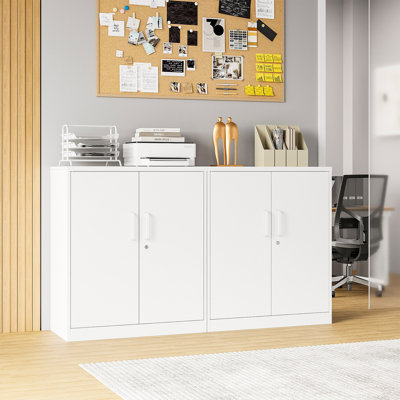 Armoire de rangement en acier H 35,4 po x l 31,5 po x P 15,7 po avec 2 tablettes réglables