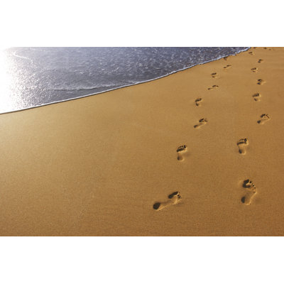Footprints in the Beach Sand by Dny59