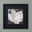 Jadaya «Fleurs Blanc II» par Color Bakery, impression encadrée-20095719-20095720-69283721