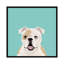 Bouledogue anglais, impression sur toile tendue-19741752-74756157-74756158