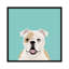 Bouledogue anglais, impression sur toile tendue-74756158-74756157-19741752