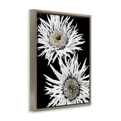"Bold Contrast Flower Buds Brown", art mural sur toile flottante par Heidi Bannon