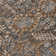 Liv Washable Floral Indoor / Outdoor Rug