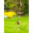 Weather Resistant Animals Wind Chime