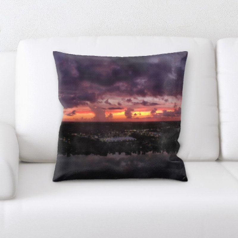 Weinberger Microsuede Throw Pillow