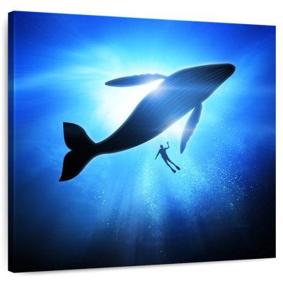 Diver And Humpback Whale