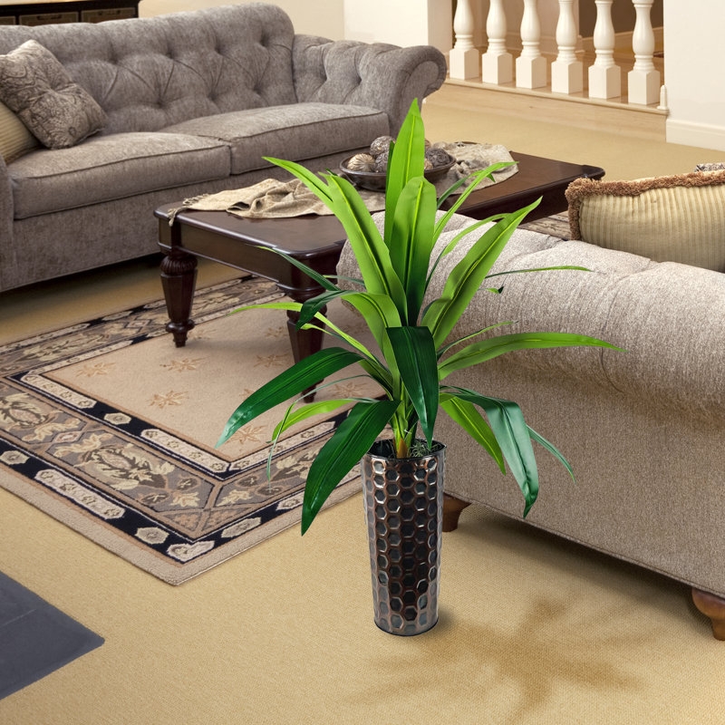 4-Foot Dracaena in Patterned Copper Planter