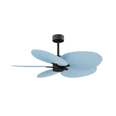 Alessandra - Five Blade Ceiling Fan