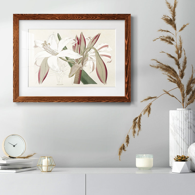 Amaryllis Varietals II, H 22 po x l 32 po x P 1,5 po, Érable
