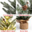 Mini sapin de Noël illuminé 24 pouces avec 50 lumières DEL - Arbre de pin artificiel de table 2 pi pour la maison, le bureau ou le bureau