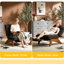     Fauteuil d'appoint sans accoudoirs avec repose-pieds réglable, méridienne avec dossier réglable, fauteuil de lecture pour salle de lecture, salon, appartement, bureau-gris-1650005421