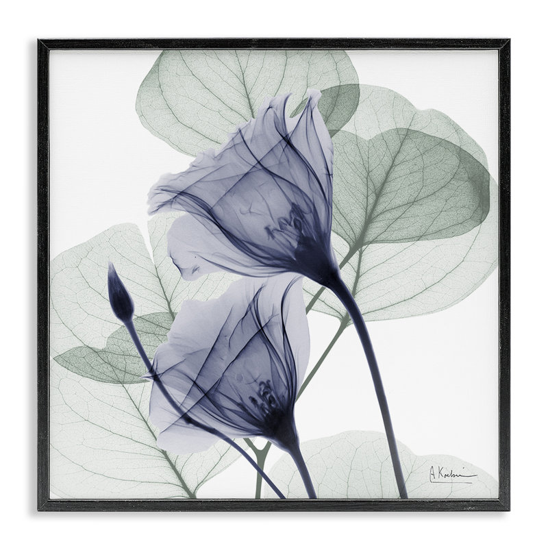 «Serene Tulips & Herbs», dessin par Albert Koetsier, Giclée encadrée noir minuit, H 12 po x l 12 po
