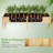 Outdoor Raised Garden Bed With Legs 73x23x30in Wood Planter Box With Divider Panel-159864000