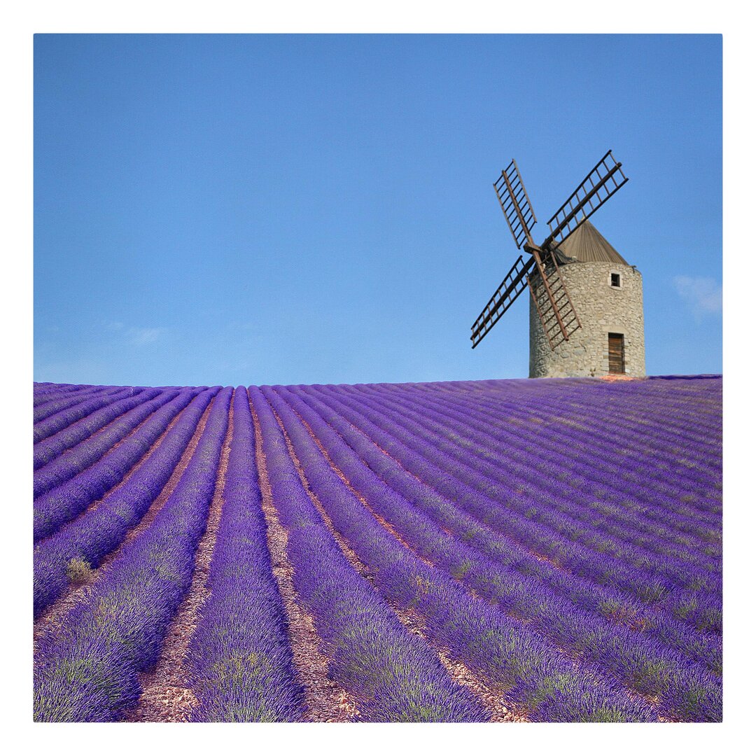 Leinwandbild Lavendelduft in der Provence