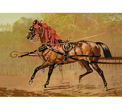 « state chariot cheval » par samuel sidney, reproduction d’art