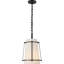 Carrier and Company Callaway Small Hanging Shade-70573481-70573480