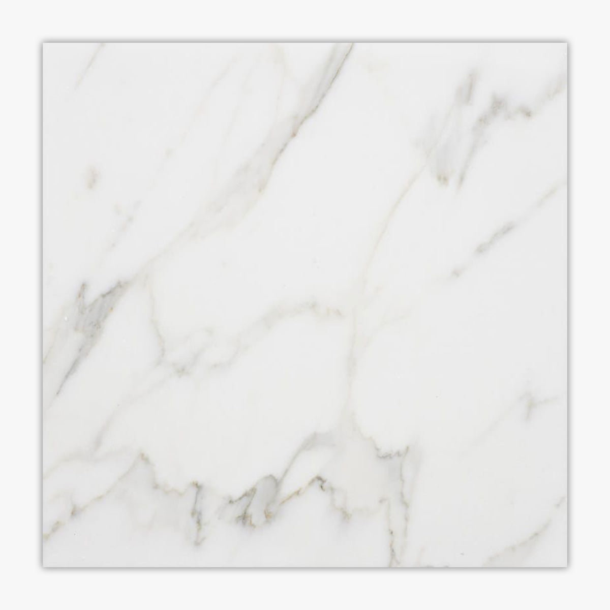 Calacatta Tile 24" x 24" Marble Wall & Floor Tile Wayfair