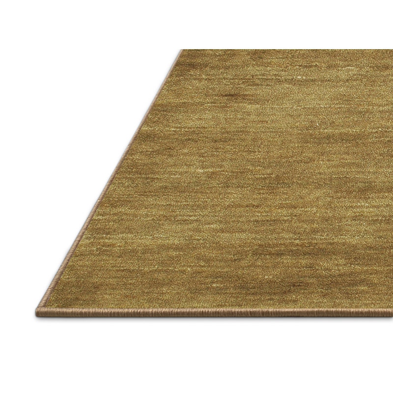 Tapis brun contemporain, Rectangle 3 pi x 5 pi