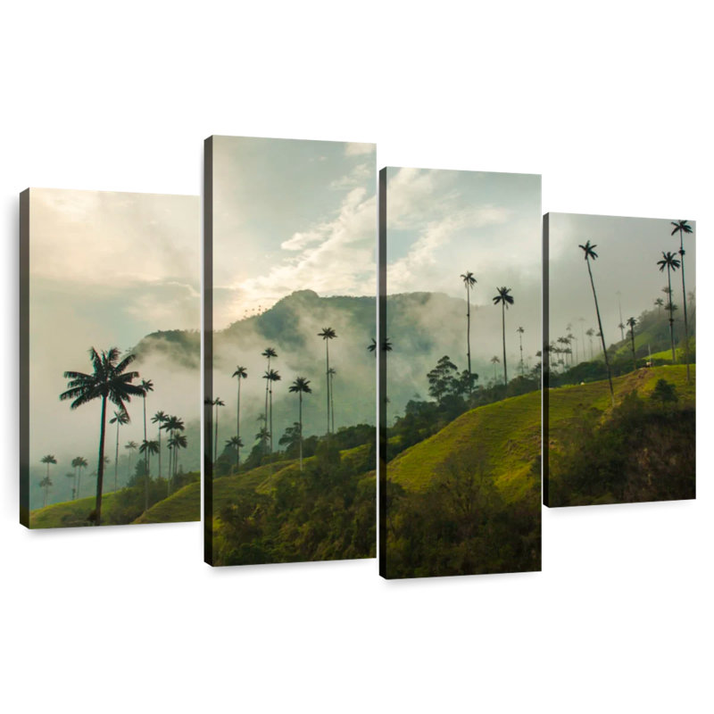 Alvord brumeux, vallée de Cocora