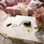 2-piece coffee table set Ahlers-67456382-67456383