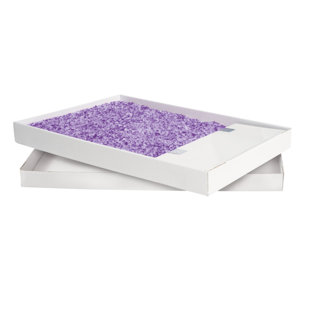 https://assets.wfcdn.com/im/95835182/resize-h310-w310%5Ecompr-r85/2594/259422553/scoopfree-litter-tray-lavender.jpg