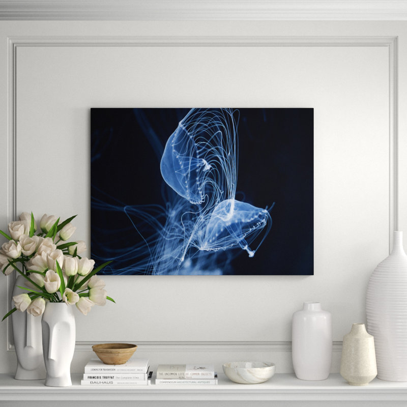 «Jelly Fish Parade One» - photographie, H 24 po x l 36 po x P 1,5 po