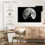 Lune et loup-107669016