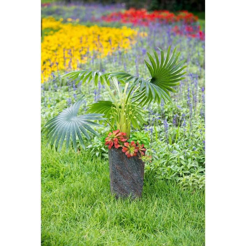 Grande jardinière en ciment pour l'intérieur et l'extérieur, H 15 po x l 9,4 po x P 9,4 po