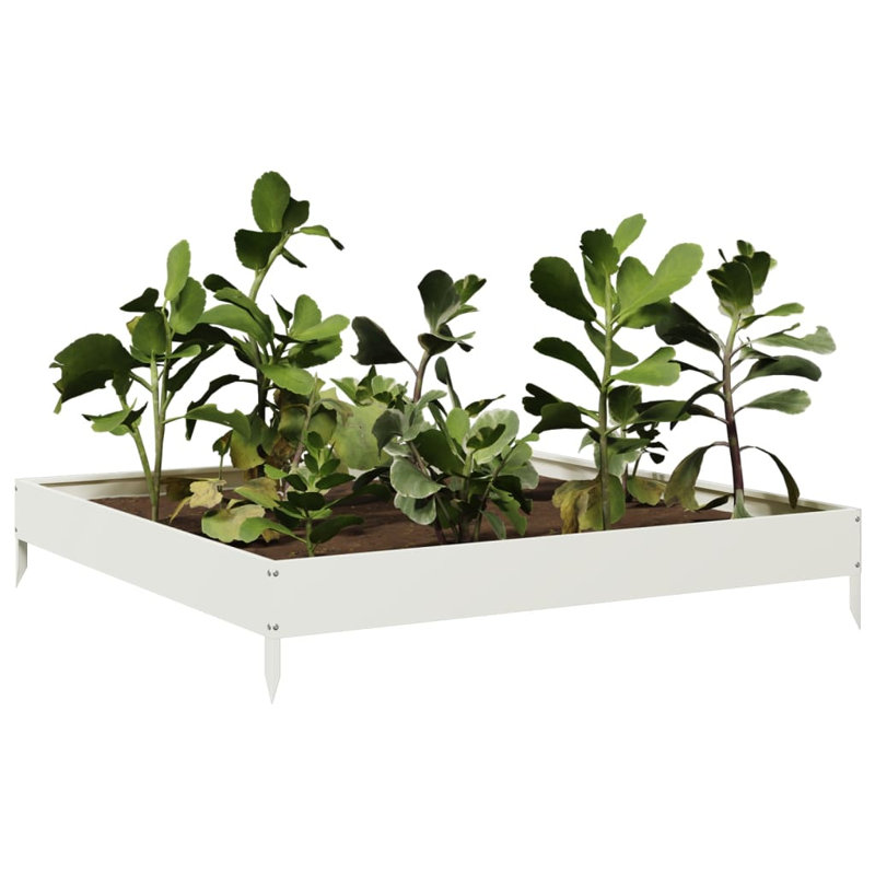Caylub Metal Raised Garden Bed, 18.5cm H x 100cm W x 100cm D, White