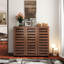 Armoire à chaussures pratique avec portes ventilées et intérieur spacieux pour le salon