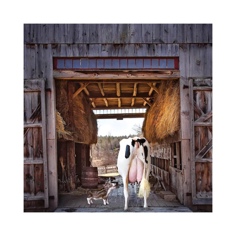 Barn Friends 1 Piece Wrapped Canvas Wall Art, 93.98cm H x 93.98cm W x 1.905cm D