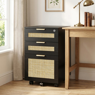 15.75" Rattan File Cabinet With Lock & 3 Drawers