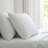 Martha Stewart Cotton Percale  Sheet Set-115629662-123293183