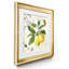 Linen Lemons I - ensemble de 2 impressions-1646023054-1646023059-1646023065